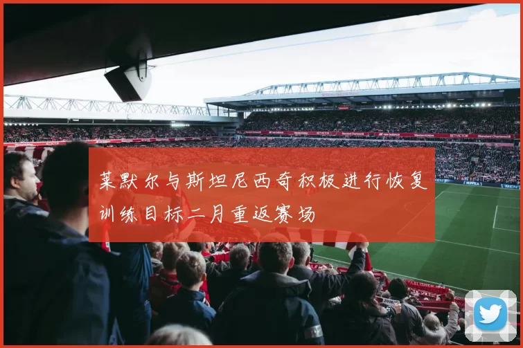莱默尔与斯坦尼西奇积极进行恢复训练目标二月重返赛场