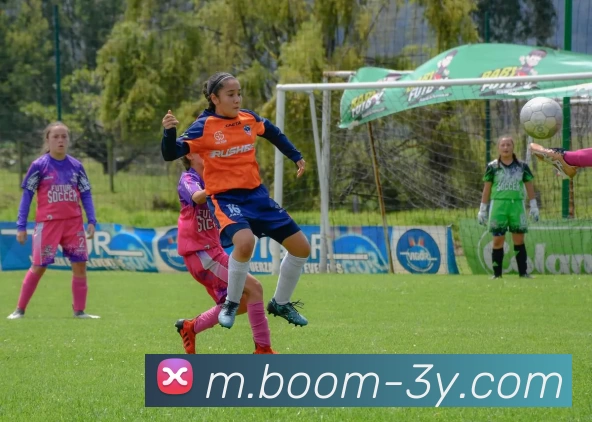 多媒体互动体验